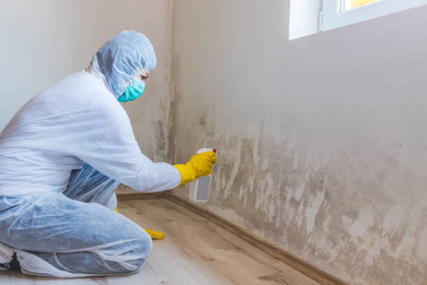 Mold Documentation for Insurance Claims in North Webster, IN