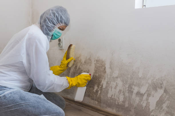 Mold Remediation for Vacation Homes in North Webster, IN